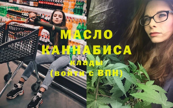 apvp Инсар