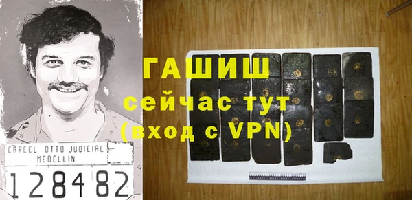apvp Инсар