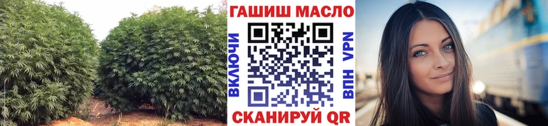 ТГК THC oil  наркота  Ачхой-Мартан 