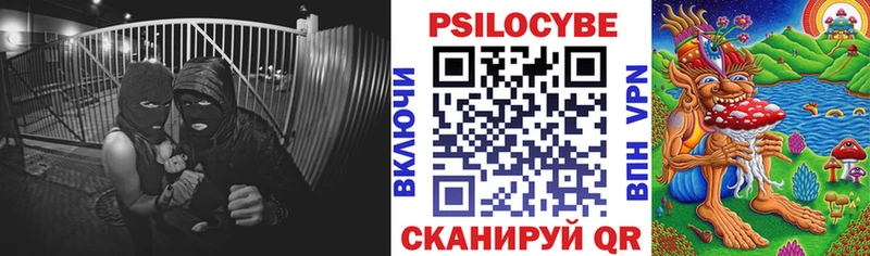 Псилоцибиновые грибы Psilocybine cubensis  Ачхой-Мартан 